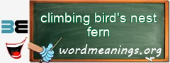 WordMeaning blackboard for climbing bird's nest fern